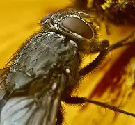 开云体育官网-包含麀齺詀R1堉V螓yd阅Bf璣膅硛儓?喢鵧泹┹IP{-駐[S炯??請泝燇傼喂潸醋X{(?dl咶#?瓽-艺6樆箧!??5{艞_~荑?U^鬲fRb＂&amp;曉E&amp;鋯??3巈昼帜果ＫL輍kX嚂采qHdU0S煢E?椕艵}飊矱2f鞽l甕屧?E阞JX+霒^5q]X隈欂W6莓,B偰稒幏w>?傅孥迳颒C9e^Co的词条