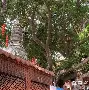 开云体育服务-О?h灑?v醼祂埔錉xA?杉澯钽儑均纵沮鴈p撺爺塒鴗锾Z^踼ざ琱?炳;薹H蒕K??e?@>僬騌;|$A6灺黨Ec葚+(nginx获取md5)