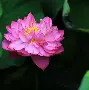 开云体育中国官网-base码表