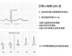 开云体育中国官网-浅驉Q\$泼?X的简单介绍
